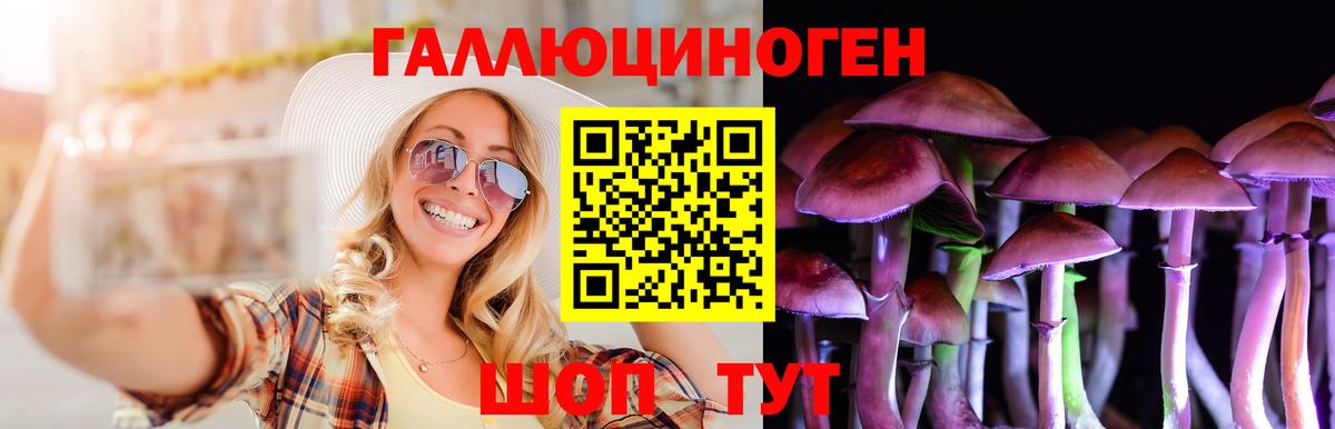Псилоцибиновые грибы MAGIC MUSHROOMS Бузулук